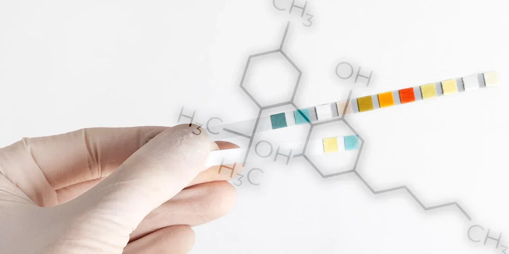 Will CBD Show Up on a Drug Test?