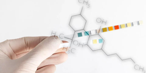 Will CBD Show Up on a Drug Test?