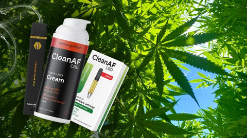 Hemp Benefits Explained: Sustainable Wellness This Earth Month