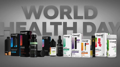 Benefits of CBD and Holistic Wellness Routines