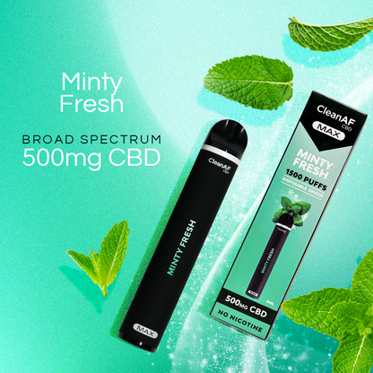500mg CBD Vape Pen - Minty Fresh