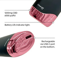 watermelon ice vape features